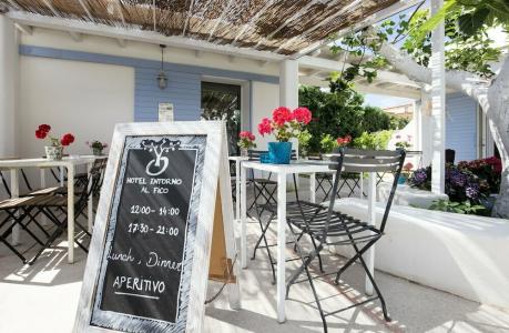 Intorno Al Fico - 14