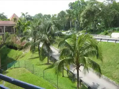 Paradise Lagoon - 5