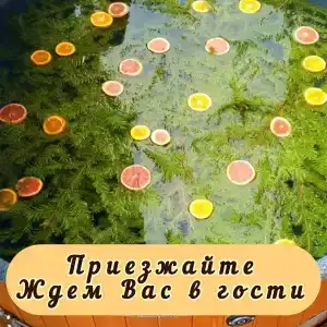 Ванькин Двор - 10