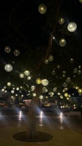 Desert Rose Resort - 67