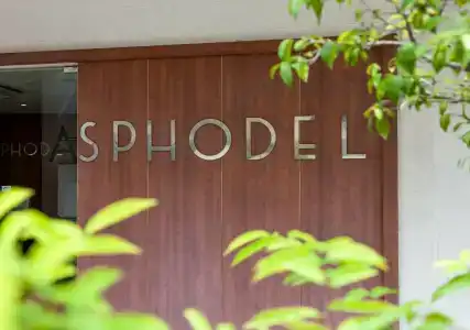 Asphodel Inn - 31
