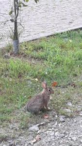 La Sorgente Bed & Breakfast - 20