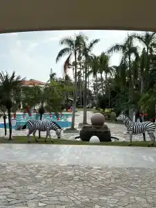 Palm Beach Resort & Spa - 47