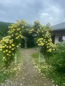 Станъ - 6