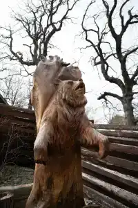 Утришёнок - 4