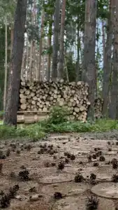 Дом для отпуска на Рахате - 3