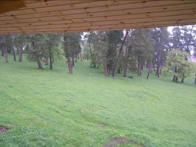 King David Bakuriani - 19