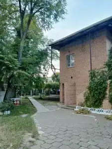 Амарант - 23