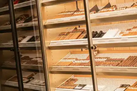 Sheraton Frankfurt Airport & Conference Center - 38