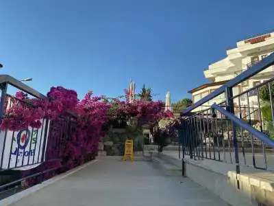 Naturella Apart - 24