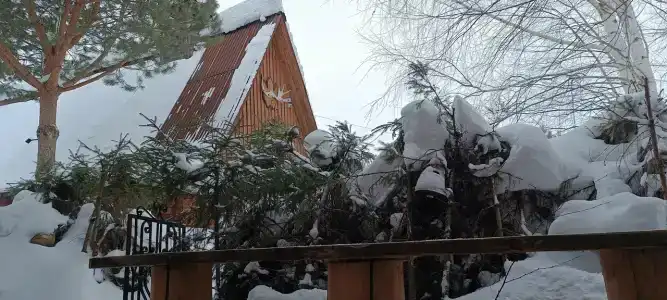 Золотой Полоз - 32