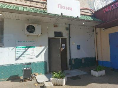 Пони - 6