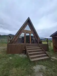 Элеон - 1