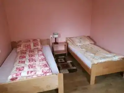 Дельфин - 26