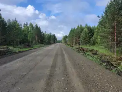 У Альберта - 35