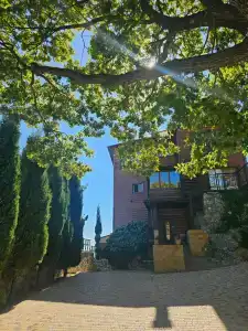 Red Stone - 17