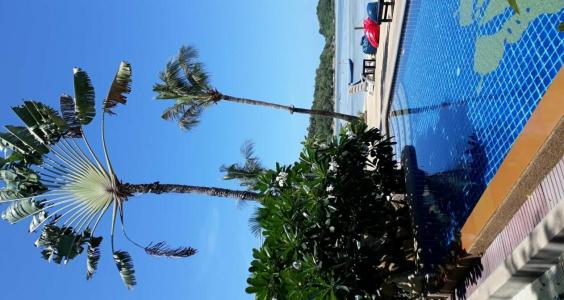 Papillon Resort - 6