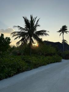 dusitD2 Feydhoo Maldives - 18