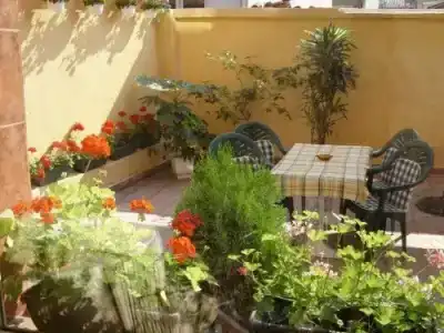 Color - 7