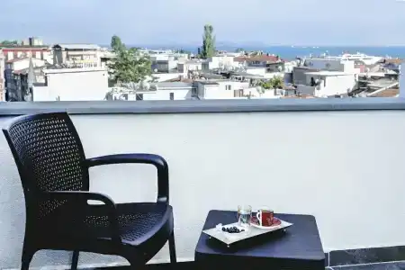 Emin Palace - 17