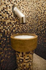 Monarque Cendrillón - 29