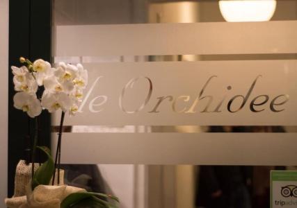 Le Orchidee - 5