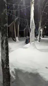 Добролес - 42