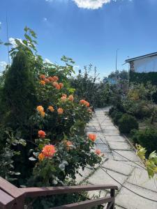 Sea House - 49