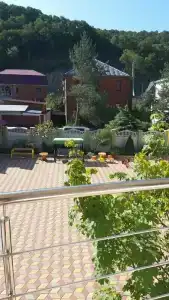 Аист - 11