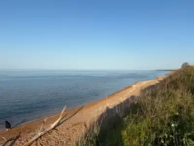 Свои на Юге - 9