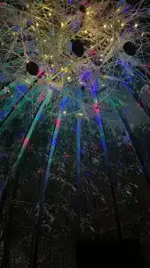 ПриродаРОДА - 10