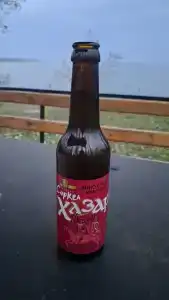 Чайка - 43