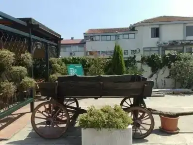 Laguna - 1