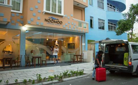 Noomoo - 37