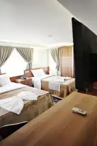 Taksim Palace - 19