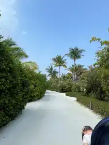 dusitD2 Feydhoo Maldives - 44