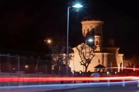 Флора - 4