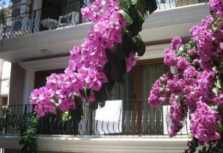 Kumsal Butik Otel - 7
