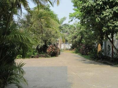 Golden Guest Inn - 29