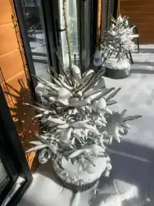 Дом для отпуска у Березы - 13