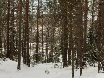 Синий утёс - 23