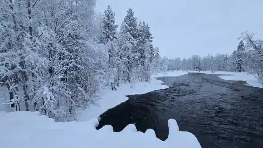 Энгозеро - 41