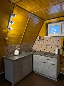 Скворцы - 9