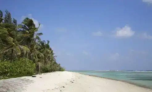 Coconut Tree Hulhuvilla Beach - 25