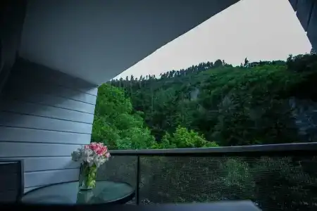 Боржоми Underwood - 34