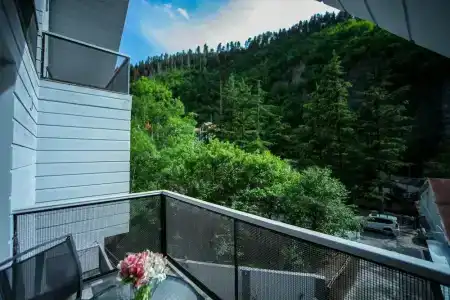 Боржоми Underwood - 16