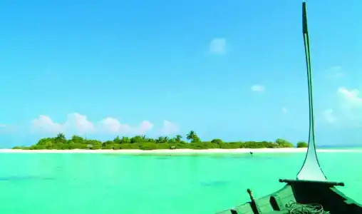 Biyadhoo Island Resort - 31