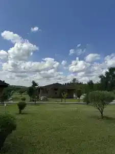 Сезоны - 31