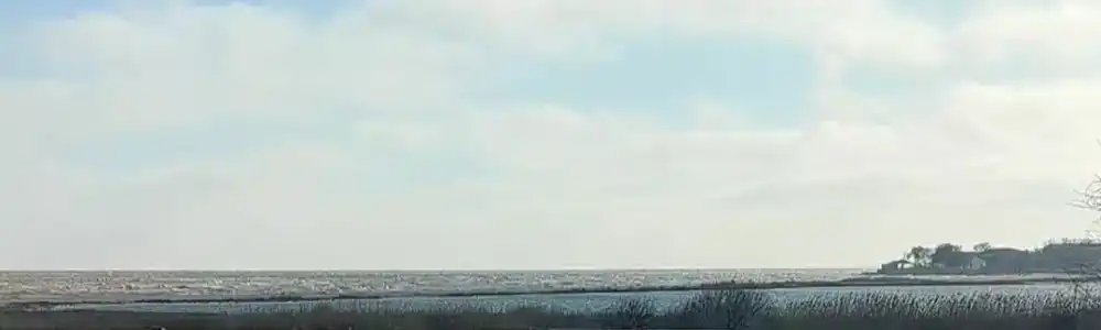 Сумахи - 3