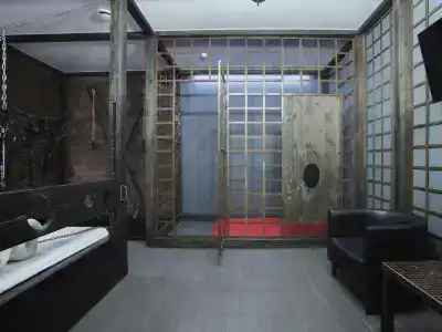Подушкин - 2